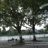 Familienausfluf nach Frankfurt/Main & Spessart
