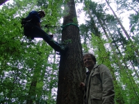 Kletterwalderbauer und betreiber: Jörg Börger (links am Baum hängend) und Peter Langer erbauen derzeit den Hochseilgarten in der Nähe des Waldhauses Einsiedel im Gramschatzer Wald. 