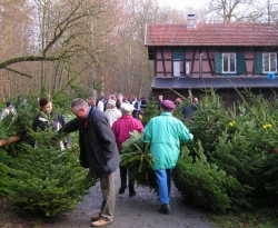 Christbaummarkt am Einsiedel