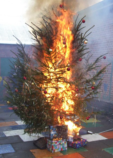 Tannenbaum