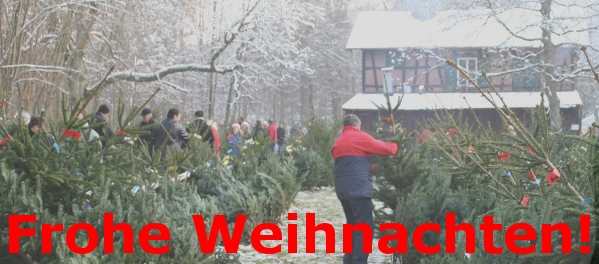 weihnachtsgruss02